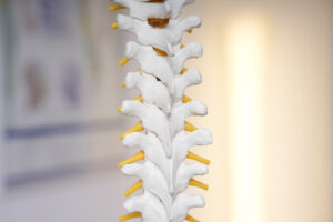 Wirbelsäulenbehandlung nach McKenzie