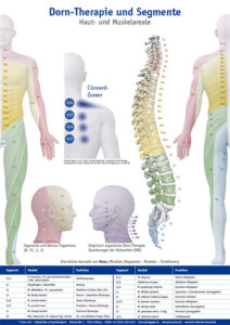 Plakat Dorn-Therapie und Segmente, © Sven Koch
