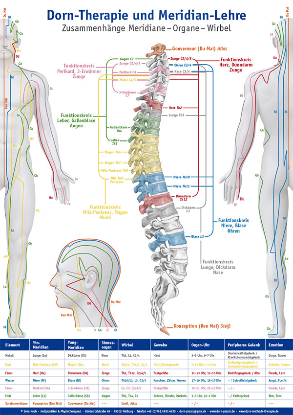 Plakat Dorn-Therapie und Meridian-Lehre, © Sven Koch