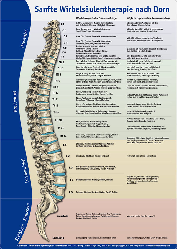 Plakat Sanfte Wirbelsäulentherapie nach Dorn, © Sven Koch